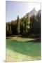 Lake Prags, Prags Dolomites, South Tyrol, Italy: The Lake, Trees And A Mountain Peak In The Sun-Axel Brunst-Mounted Premium Photographic Print