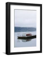 Lake Quinault. Olympic National Park, Washington-Justin Bailie-Framed Photographic Print