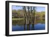 Lake Rebecca Floodplain and Forest-jrferrermn-Framed Photographic Print