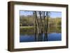 Lake Rebecca Floodplain and Forest-jrferrermn-Framed Photographic Print