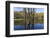 Lake Rebecca Floodplain and Forest-jrferrermn-Framed Photographic Print