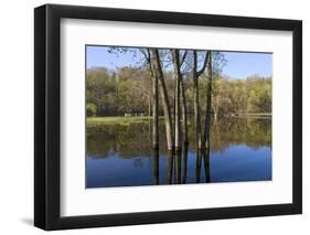 Lake Rebecca Floodplain and Forest-jrferrermn-Framed Photographic Print