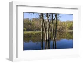 Lake Rebecca Floodplain and Forest-jrferrermn-Framed Photographic Print