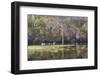 Lake Rebecca Park Fishing Pier and Forest-jrferrermn-Framed Photographic Print