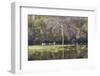 Lake Rebecca Park Fishing Pier and Forest-jrferrermn-Framed Photographic Print
