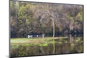 Lake Rebecca Park Fishing Pier and Forest-jrferrermn-Mounted Photographic Print