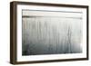 Lake Reeds - Scattered-Mike Toy-Framed Giclee Print