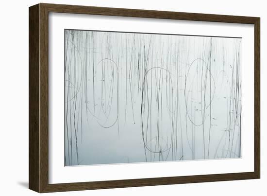 Lake Reeds - Strewn-Mike Toy-Framed Giclee Print