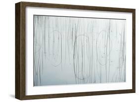 Lake Reeds - Strewn-Mike Toy-Framed Giclee Print