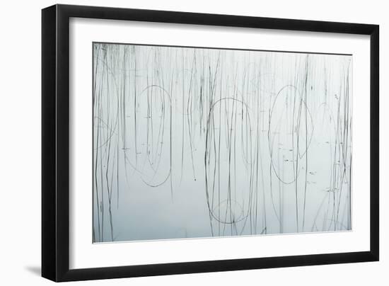 Lake Reeds - Strewn-Mike Toy-Framed Giclee Print
