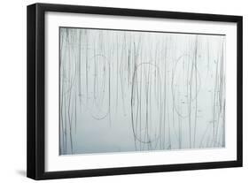 Lake Reeds - Strewn-Mike Toy-Framed Giclee Print
