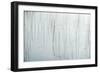 Lake Reeds - Strewn-Mike Toy-Framed Giclee Print