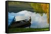 Lake Reflection-Sally Linden-Framed Stretched Canvas