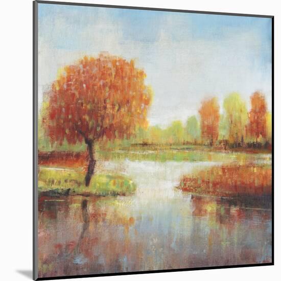 Lake Reflections I-Tim OToole-Mounted Art Print