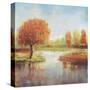 Lake Reflections I-Tim OToole-Stretched Canvas