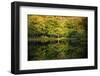 Lake reflections, Peaks Of Otter, Blue Ridge Parkway, Smoky Mountains, USA.-Anna Miller-Framed Photographic Print