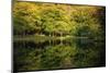 Lake reflections, Peaks Of Otter, Blue Ridge Parkway, Smoky Mountains, USA.-Anna Miller-Mounted Photographic Print