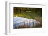 Lake reflections, Peaks Of Otter, Blue Ridge Parkway, Smoky Mountains, USA.-Anna Miller-Framed Photographic Print