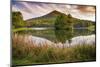 Lake reflections, Peaks Of Otter, Blue Ridge Parkway, Smoky Mountains, USA.-Anna Miller-Mounted Photographic Print