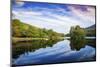 Lake reflections, Peaks Of Otter, Blue Ridge Parkway, Smoky Mountains, USA.-Anna Miller-Mounted Photographic Print