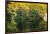 Lake reflections, Peaks Of Otter, Blue Ridge Parkway, Smoky Mountains, USA.-Anna Miller-Framed Photographic Print