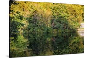 Lake reflections, Peaks Of Otter, Blue Ridge Parkway, Smoky Mountains, USA.-Anna Miller-Stretched Canvas