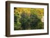 Lake reflections, Peaks Of Otter, Blue Ridge Parkway, Smoky Mountains, USA.-Anna Miller-Framed Photographic Print