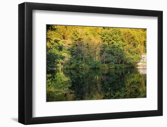 Lake reflections, Peaks Of Otter, Blue Ridge Parkway, Smoky Mountains, USA.-Anna Miller-Framed Photographic Print