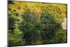 Lake reflections, Peaks Of Otter, Blue Ridge Parkway, Smoky Mountains, USA.-Anna Miller-Mounted Photographic Print