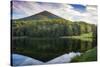 Lake reflections, Peaks Of Otter, Blue Ridge Parkway, Smoky Mountains, USA.-Anna Miller-Stretched Canvas