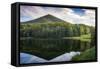 Lake reflections, Peaks Of Otter, Blue Ridge Parkway, Smoky Mountains, USA.-Anna Miller-Framed Stretched Canvas