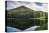 Lake reflections, Peaks Of Otter, Blue Ridge Parkway, Smoky Mountains, USA.-Anna Miller-Stretched Canvas