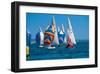 Lake Regatta-null-Framed Art Print