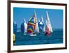 Lake Regatta-null-Framed Art Print