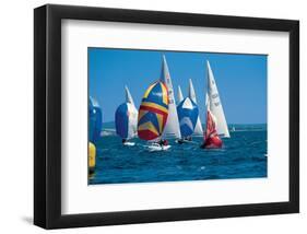 Lake Regatta-null-Framed Art Print