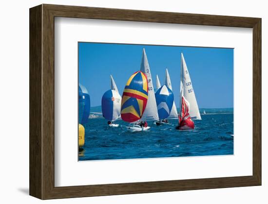 Lake Regatta-null-Framed Art Print