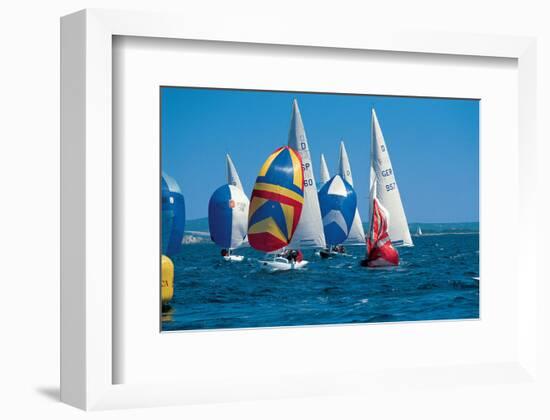 Lake Regatta-null-Framed Art Print