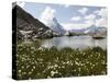 Lake Riffelsee and the Matterhorn, Zermatt, Valais, Swiss Alps, Switzerland, Europe-Hans Peter Merten-Stretched Canvas