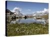 Lake Riffelsee and the Matterhorn, Zermatt, Valais, Swiss Alps, Switzerland, Europe-Hans Peter Merten-Stretched Canvas