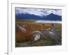 Lake Roca, Calafate Roca National Reserve, Patagonia, Argentina, South America-Derek Furlong-Framed Photographic Print