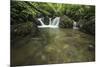 Lake Sebu-Michael de Guzman-Mounted Photographic Print