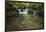 Lake Sebu-Michael de Guzman-Framed Photographic Print