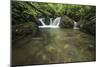 Lake Sebu-Michael de Guzman-Mounted Photographic Print