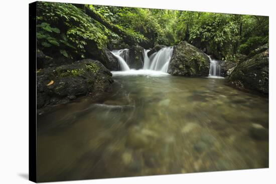 Lake Sebu-Michael de Guzman-Stretched Canvas