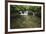 Lake Sebu-Michael de Guzman-Framed Photographic Print