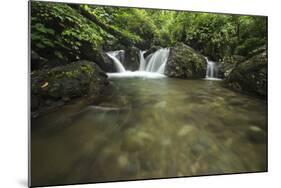 Lake Sebu-Michael de Guzman-Mounted Photographic Print