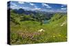 Lake Seealpsee at Nebelhorn Mountain (2224m), Oberstdorf, Allgaeu, Swabia, Bavaria, Germany-null-Stretched Canvas