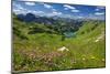 Lake Seealpsee at Nebelhorn Mountain (2224m), Oberstdorf, Allgaeu, Swabia, Bavaria, Germany-null-Mounted Art Print