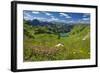 Lake Seealpsee at Nebelhorn Mountain (2224m), Oberstdorf, Allgaeu, Swabia, Bavaria, Germany-null-Framed Art Print