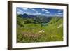 Lake Seealpsee at Nebelhorn Mountain (2224m), Oberstdorf, Allgaeu, Swabia, Bavaria, Germany-null-Framed Art Print